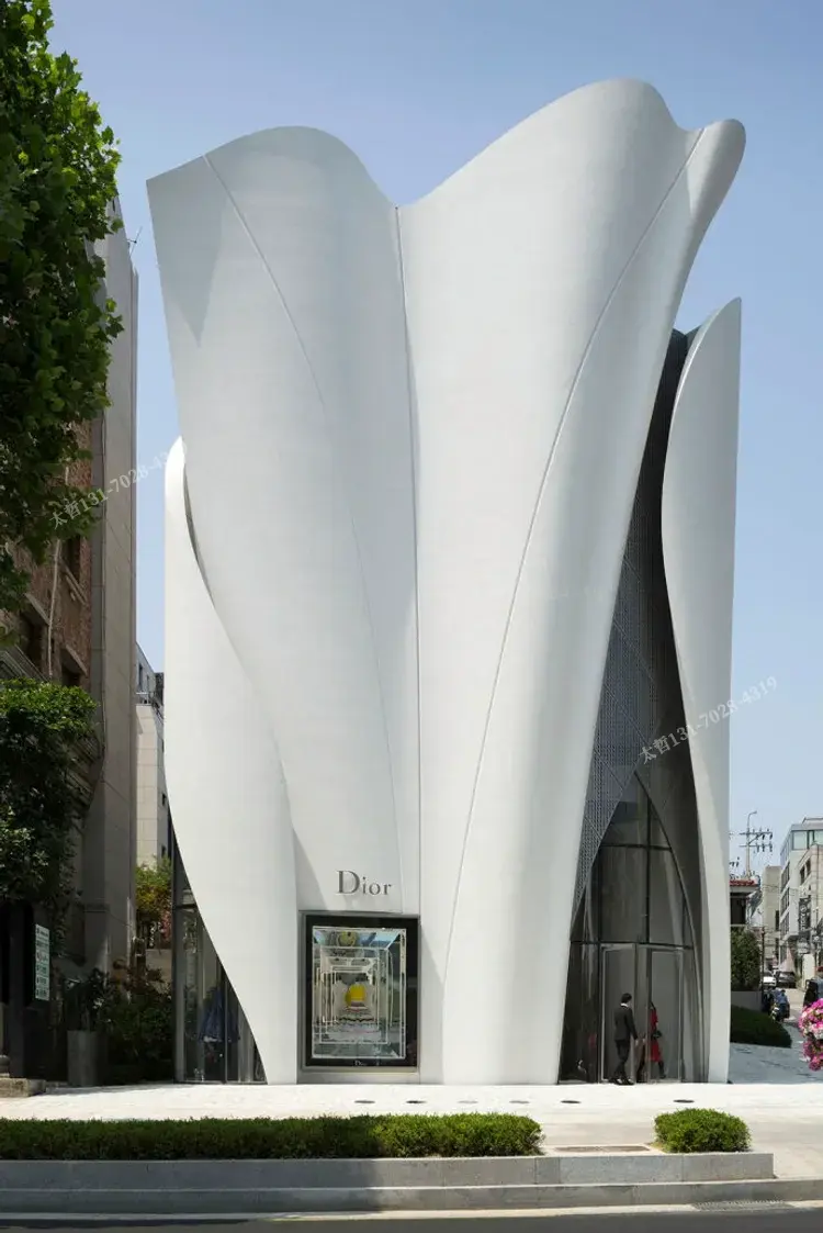 外立面装饰造型定制案例